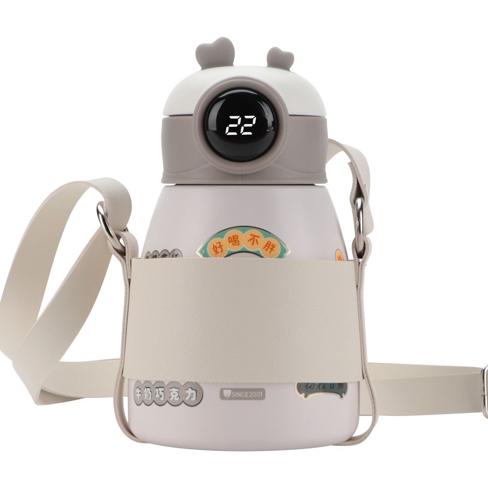 Thermos Kids Water Bottle with Straw Temperature Display Thermos Kids Water Bottle with Straw Temperature Display