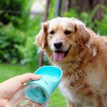 Plastic Travel Drink Pet Feeder Plastic Travel Drink Pet Feeder