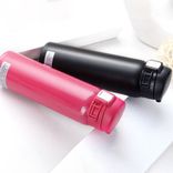 Insulated Stainless Steel Water Bottle with Quick-Twist Lid